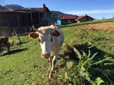Zamanın İzinde Bölümlü: Seçme Fotoğraflar