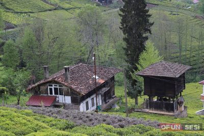 Bölümlü Arşivinden: 5 Mayıs 2020 Genel Kareler