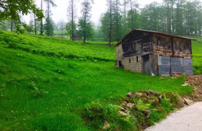 Zamanın İzinde Bölümlü: Seçme Fotoğraflar