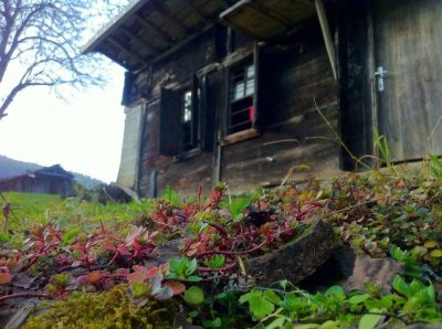 Zamanın İzinde Bölümlü: Seçme Fotoğraflar