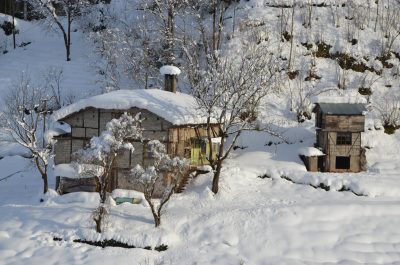 Bölümlü Kış Arşivi: 2 Ocak 2016